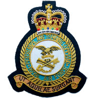 RAF Personnel Training Command wire blazer badge